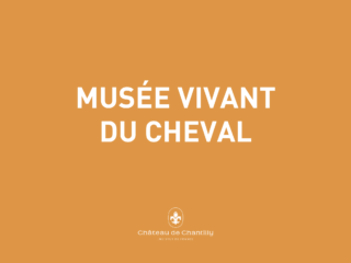 Musée vivant du cheval - Domaine de Chantilly