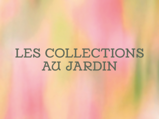 Les collections au jardin / Andrea Branzi le règne des vivants